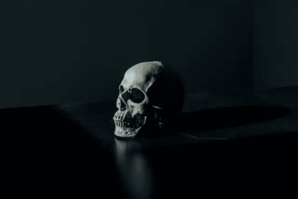 Skull on dark surface with dark background